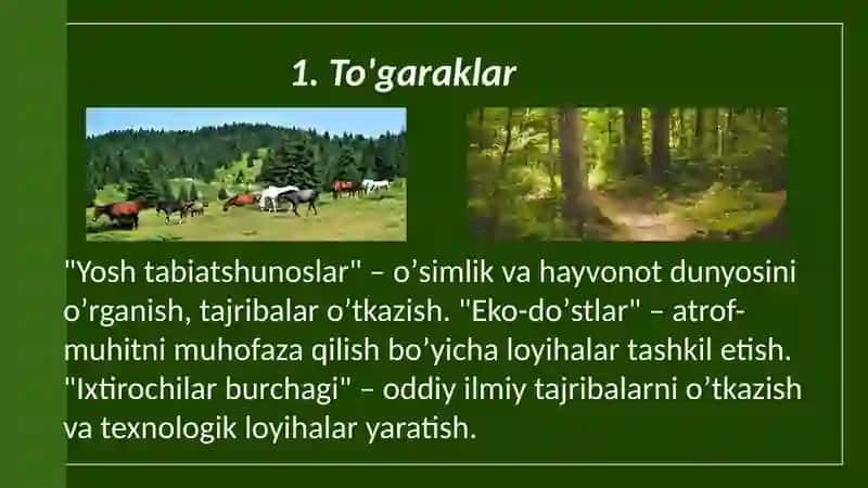 Boshlangʻich taʼlim tabiiy fanlaridan sinfdan tashqari ishlarni tashkil etish 4