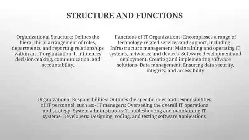 IT Organizations 4
