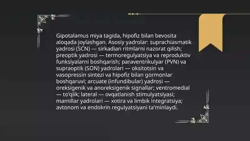 Neyroendokring tizimning struktur funksional tavsifi 4