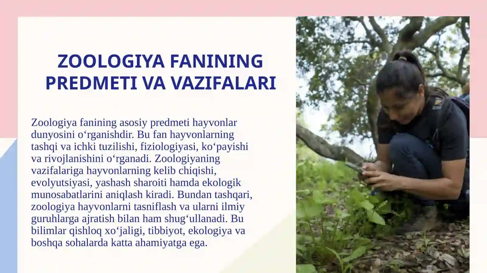 Zoologiya faniga kirish. Еukаriоt organizmlaning olti katta olami 4