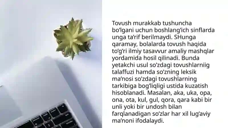 Fonetika va Grafika asoslarini o'rganishda pedagogik Teknologiyalarni qo'llash 4