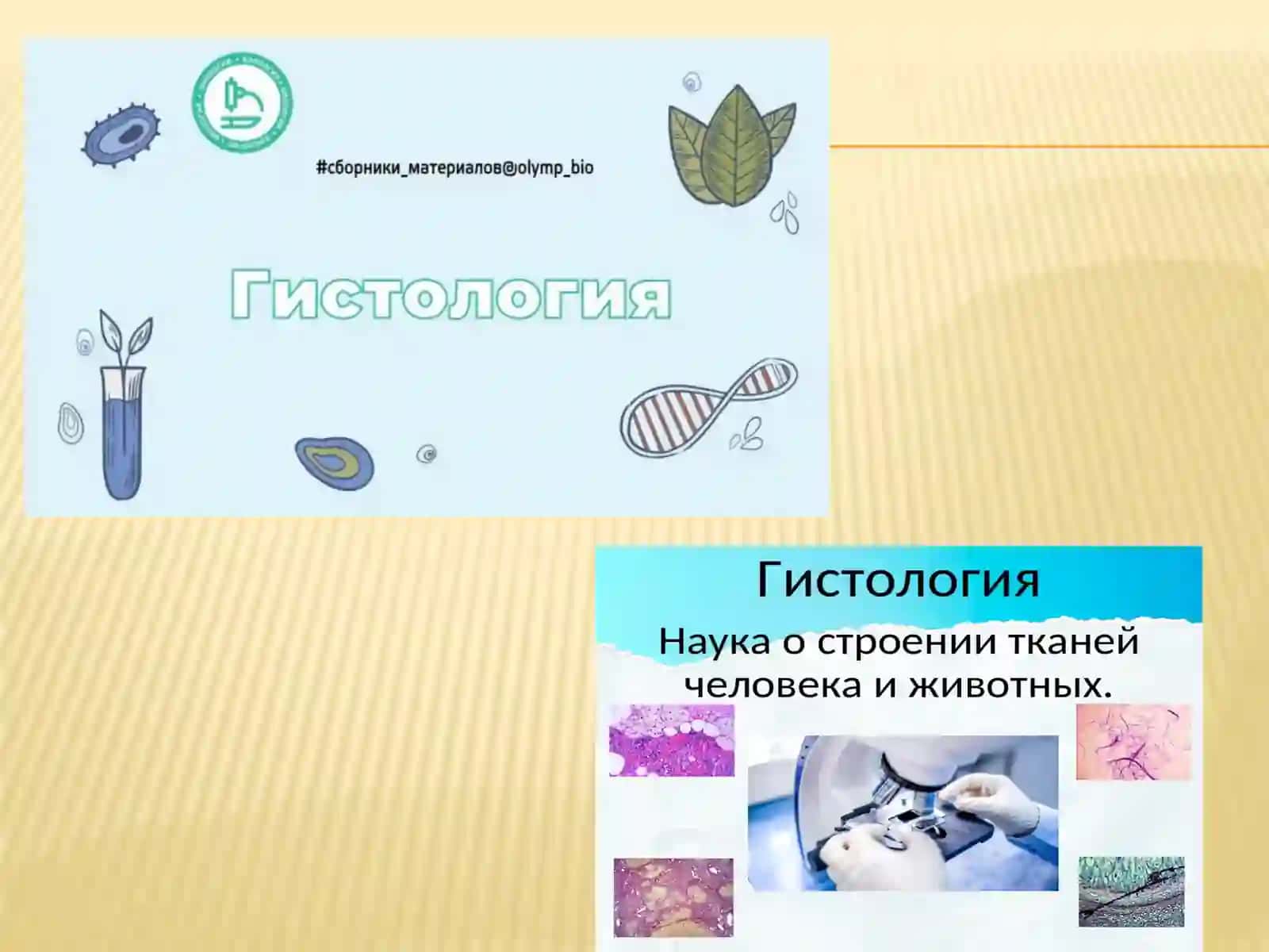 Gistologiya, Sitologiya va Embriologiya fanidan 4