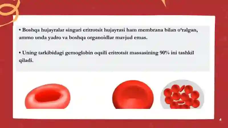 Eritrotsitlar, Gemoglobin va uning turlari 4