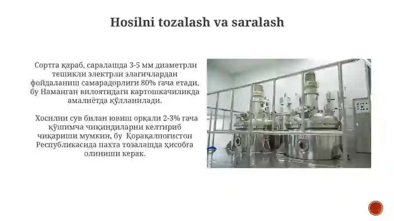 Saqlashga moʻljallangan mahsulotni etishtirishdagi agrotexnik xususiyatlari 4