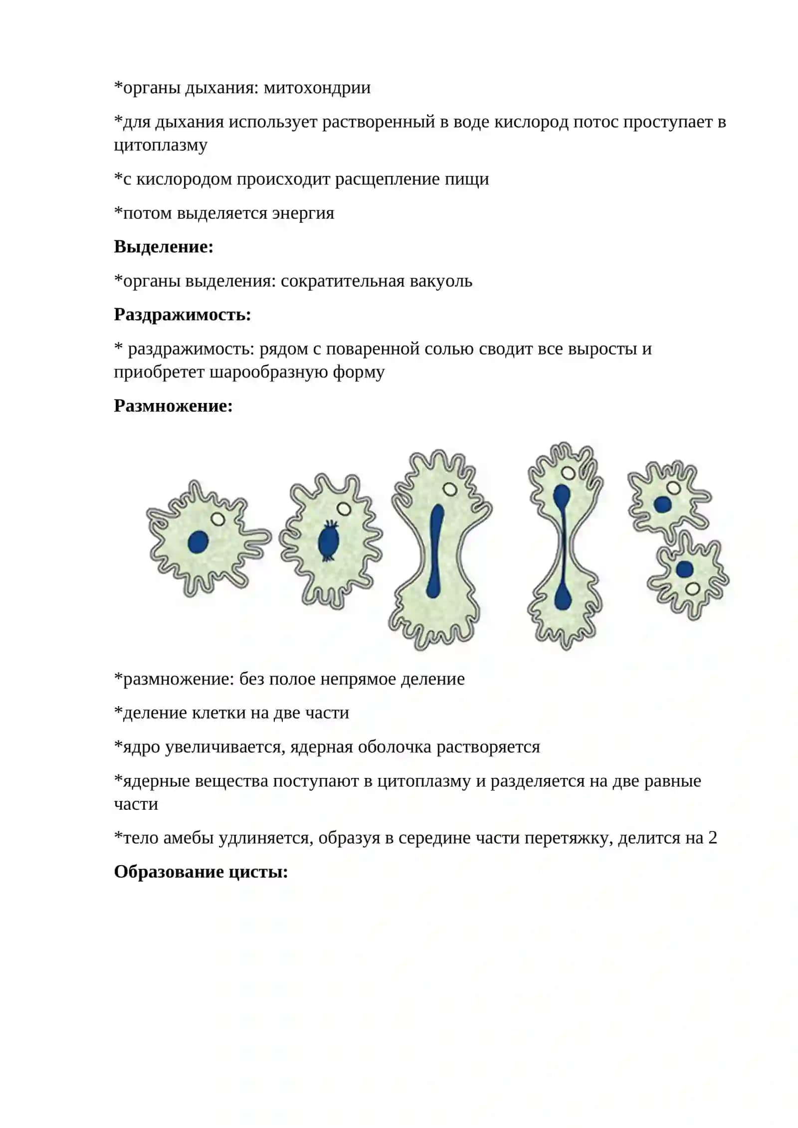 ЗООЛОГИЯ-НАУКА О ЖИВОТНЫХ 4
