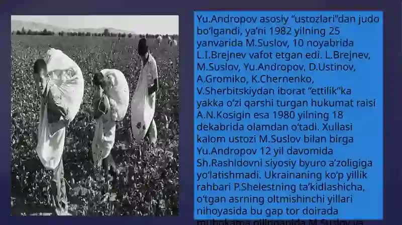 PAXTA ISHI VA OZBEK ISHI 4