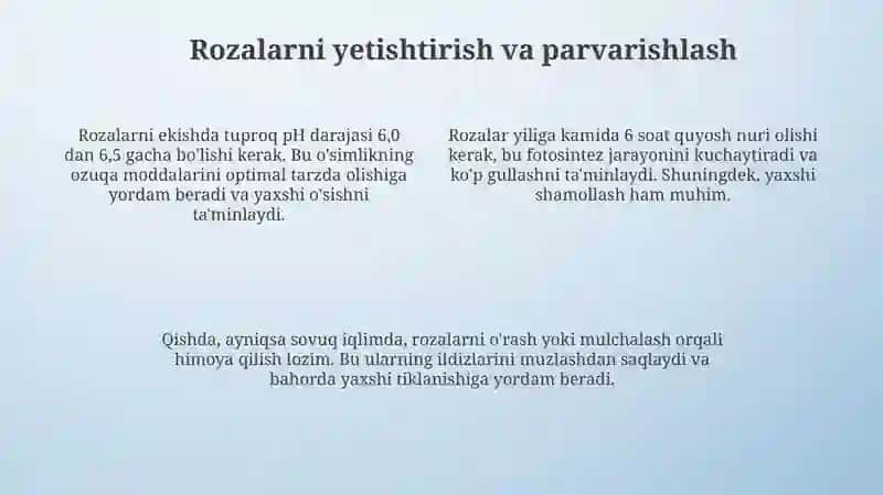 Rozalarning xillari va xususiyatlari 4