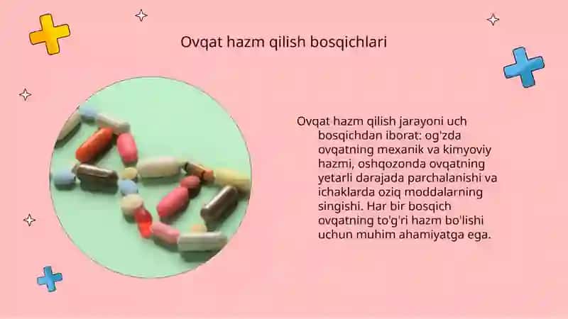 Ovqat hazim qilish tizimi 4