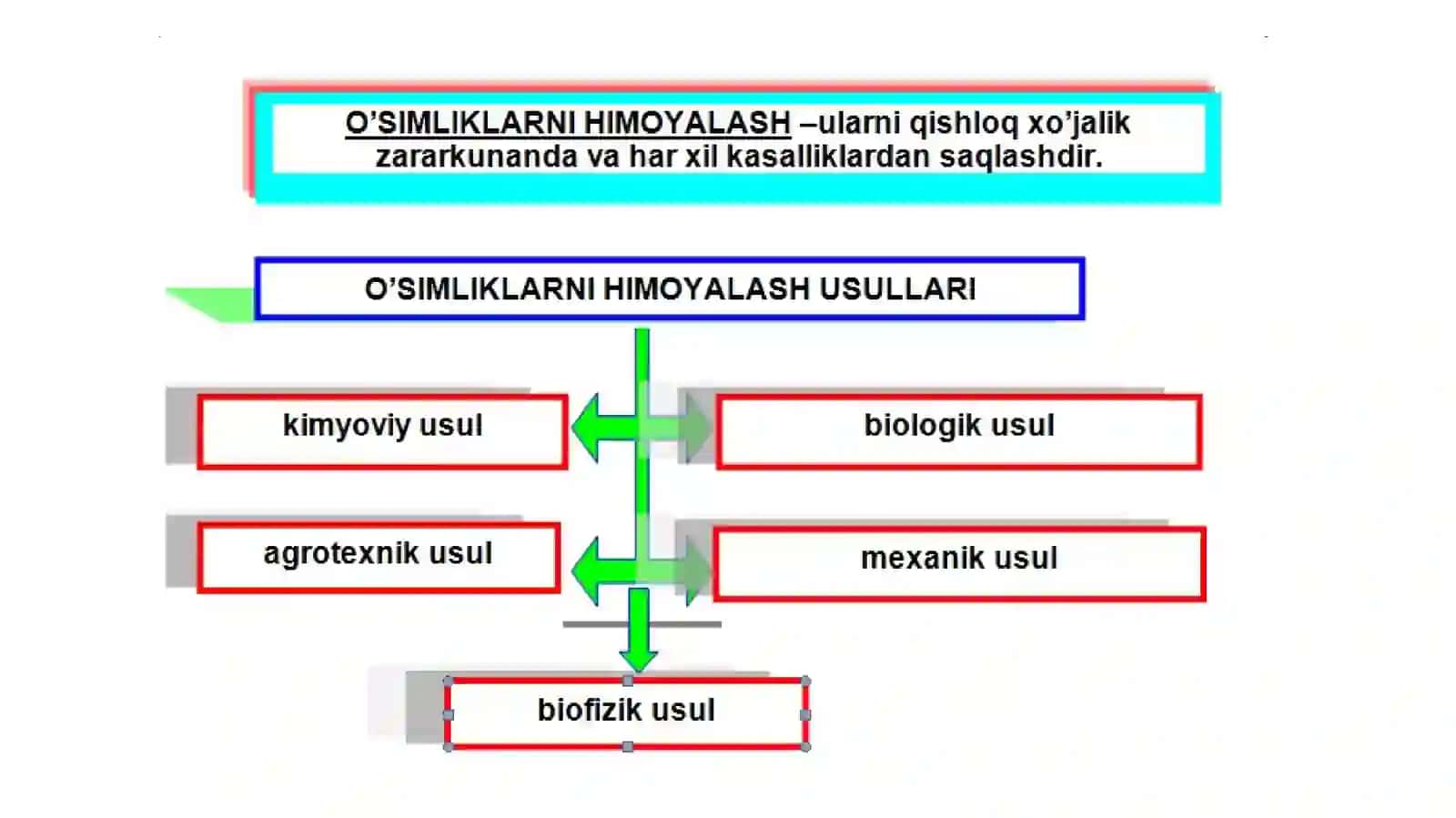 O‘SIMLIKLARNI HIMOYALASH MASHINALARI 4