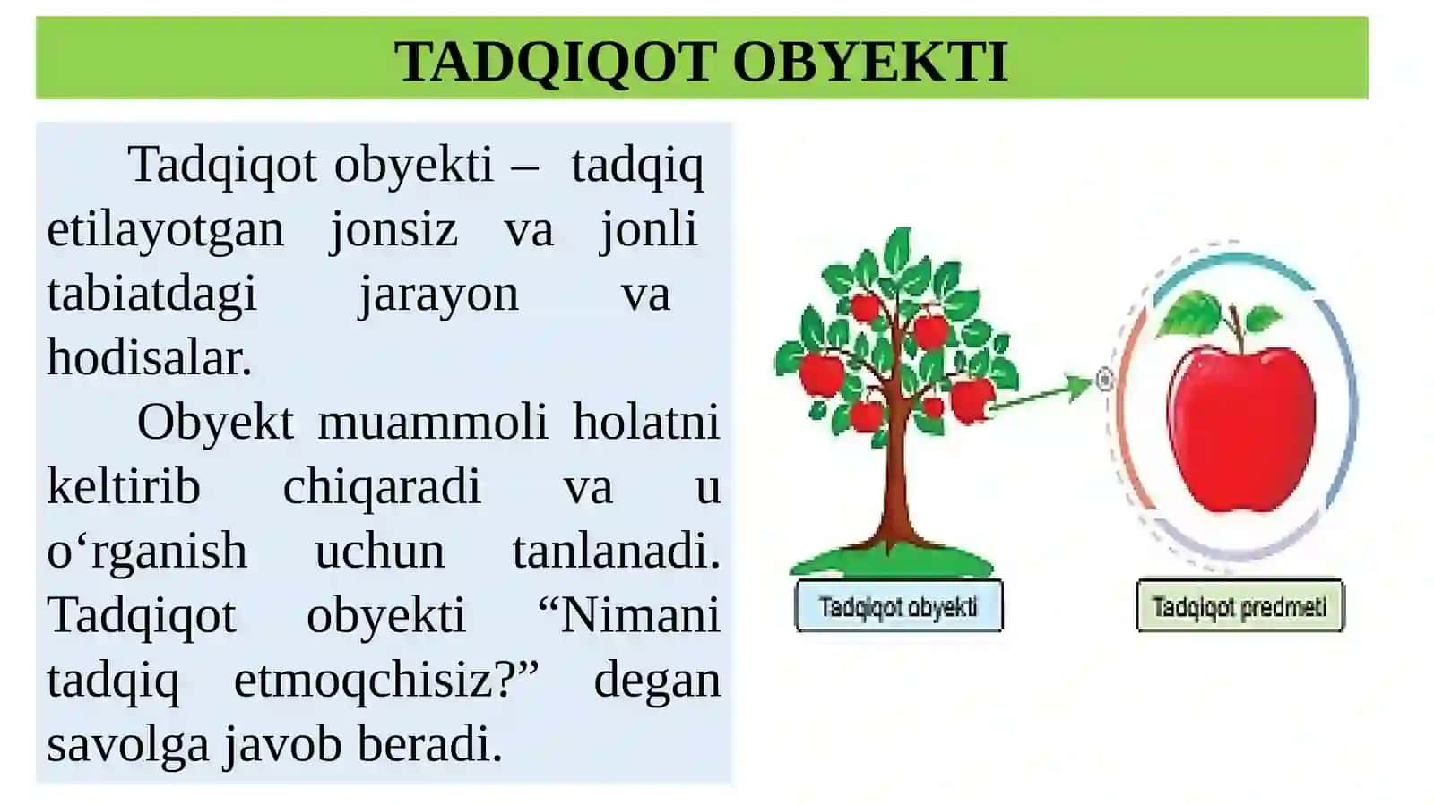 Tadqiqot Obyekti 4