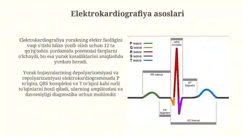 Elektrokardiografiya 4