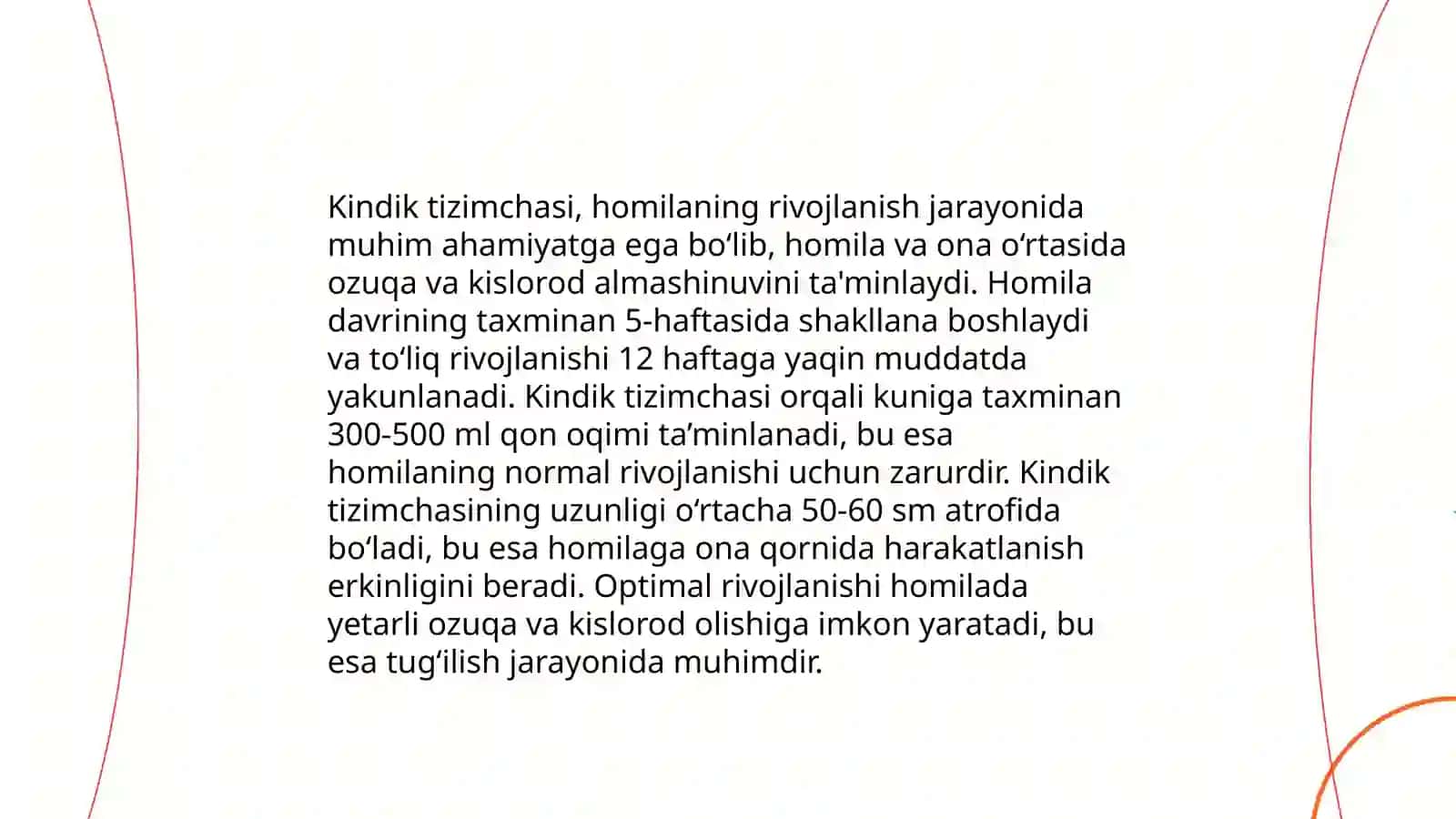 Kindik tizimchasining anatomiyasi 4