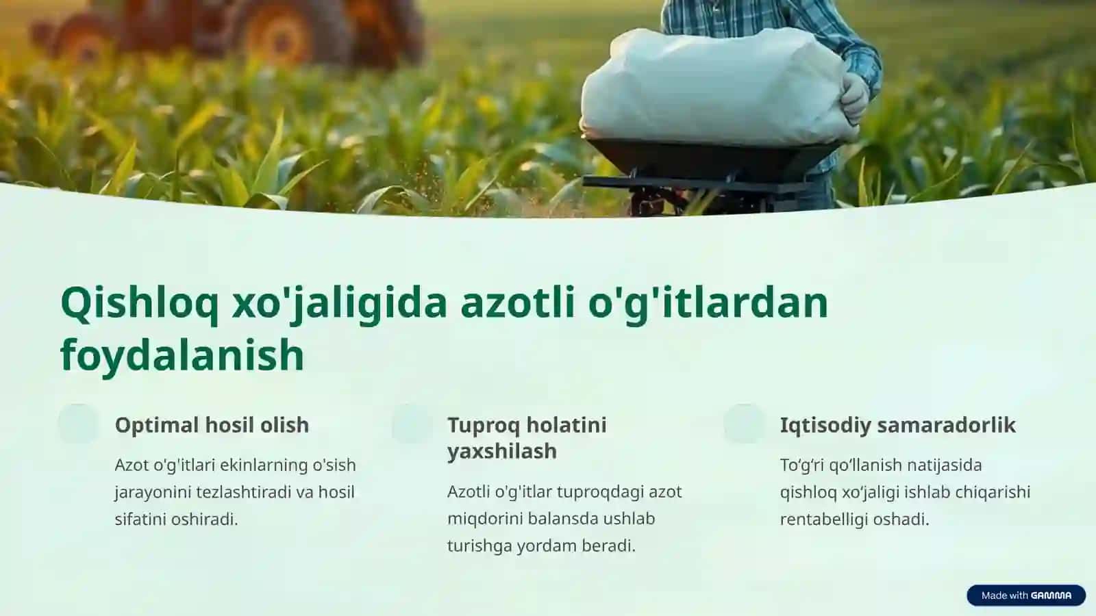 Azotli o'g'itlar: Qishloq xo'jaligidagi ahamiyati 4