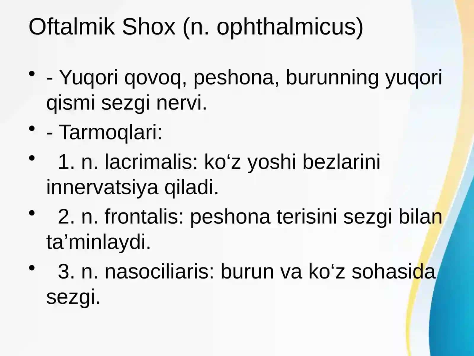 Uch Shoxlik Nerv va Uning Vegetativ Tugunlari 4