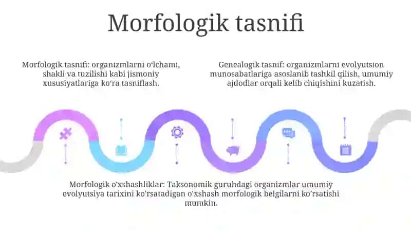 Dunyo Tillarining Geneologik Va Morfologik Tasnifi 4