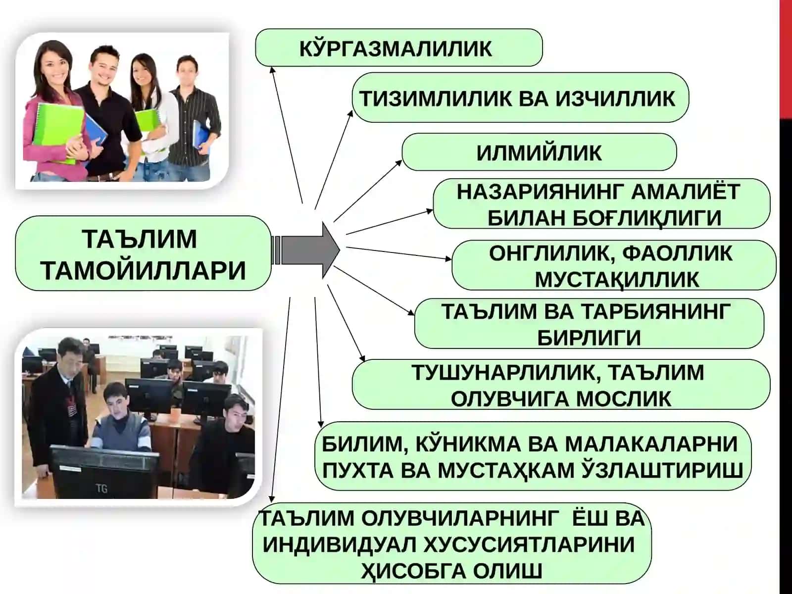 Бўлажак мутахассисларни назарий ўқитишнинг дидактик асослари 4