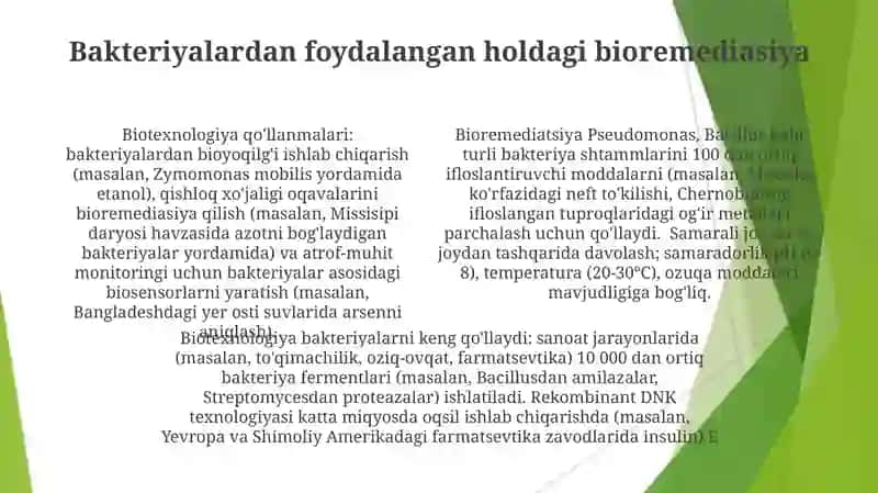 Bakteriyalardan biotexnologiyada foydalanish yunalishlari 4