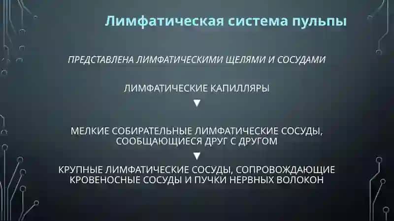 Пульпа. Строение, функции. Возрастные изменения.Пульпит, этиология, патогенез, классификация 4