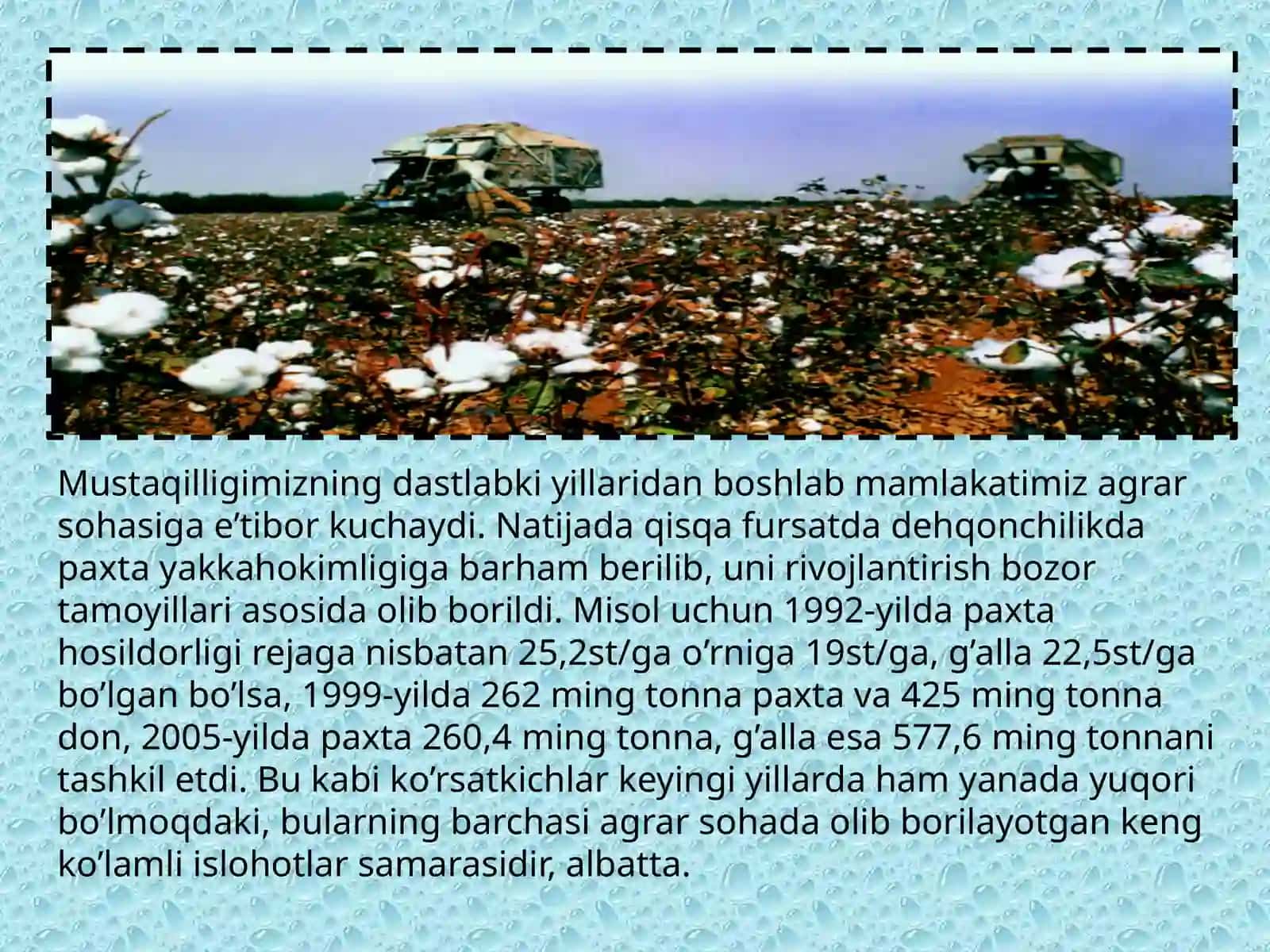 Yerlarni sifat baholash va qishloq xoʻjaligidagi ahamiyati 4