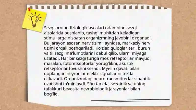 Sezgilar haqida umumiy tushuncha va nerv fiziologik asoslari 4