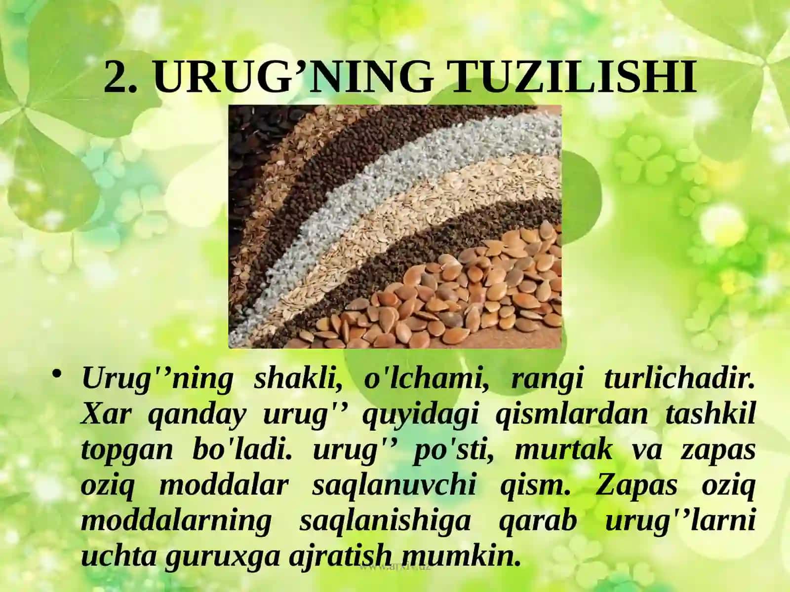 Urug’ning tuzilishi 4