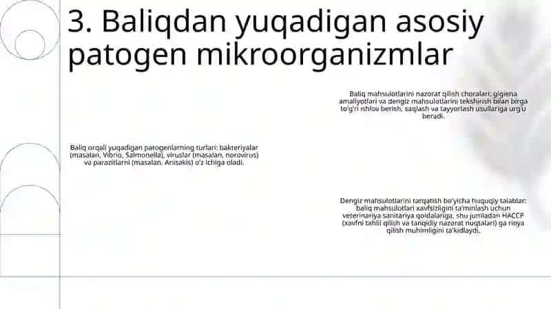 Baliq Va Baliq Mahsulotlarini Bozorlarga Chiqarishda Bajariladigan Veterinariya Sanitariya Talablari 4