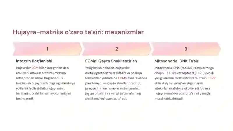 Yallig‘lanishni tizimli tasirlari. Hujayradan tashqari matriks va hujayra-matriks o‘zaro ta’siri. To‘qima regeneratsiyasi mexanizmi. 4