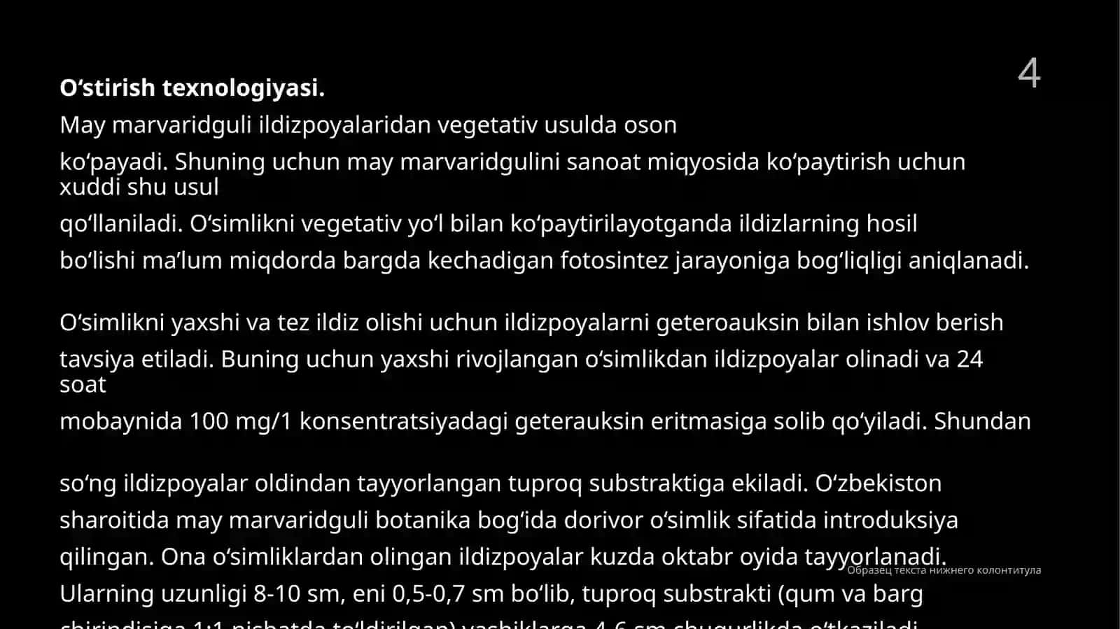 Marvaridgulning dorivorligi va yetishtirish texnologiyasi 4
