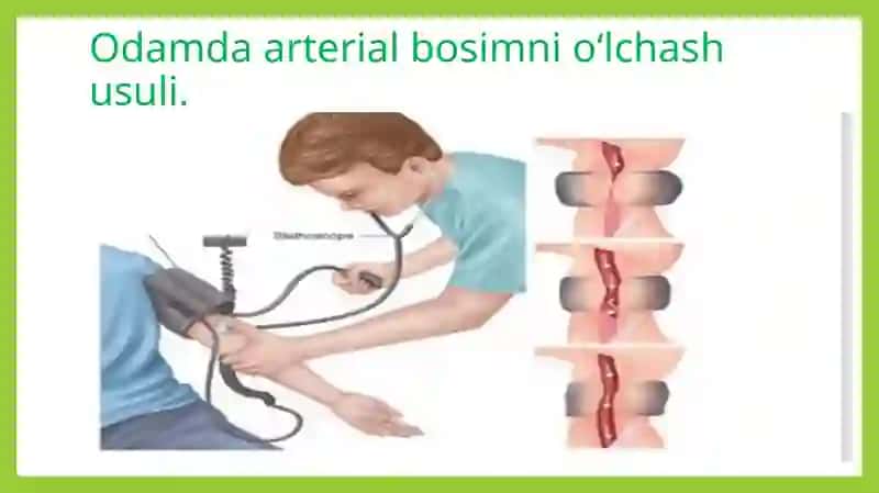 ARTERIAL QON BOSIMI MIKROSIRKULYATSIYA TIZIMI.QON TOMIRLAR TONUSINI BOSHQARILISHI 4