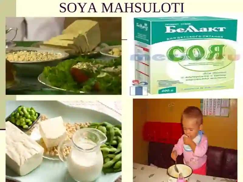 Soya biologiyasi va yetishtirish texnologiyasi 4
