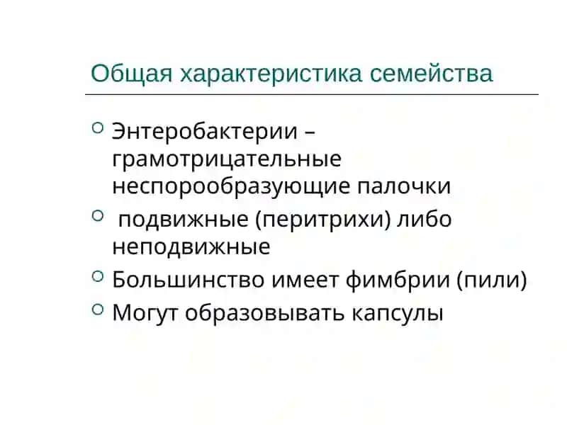 Энтеробактерии 4