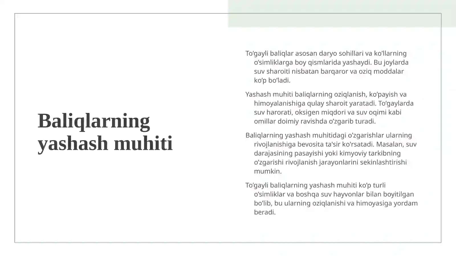 To’gayli baliqlarning individual rivojlanish xususiyatlari 4
