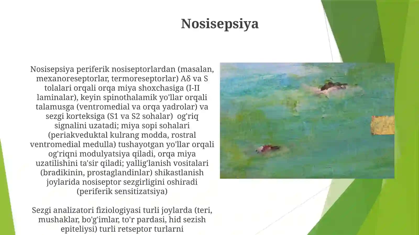 Eshituvvavestebuliyaranalizatorlarfiziologiyasi 4
