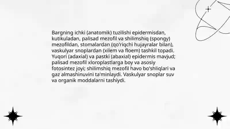 Barg va uning turlari 4
