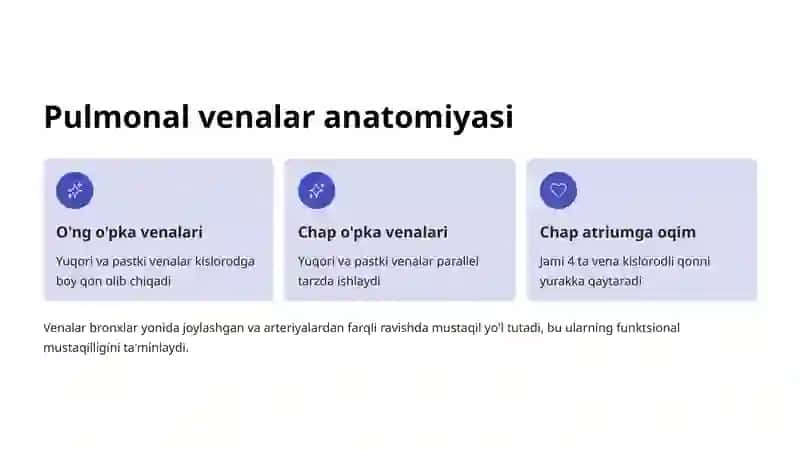 Pulmonal arteriya va venalar: Anatomiya va funktsiya 4