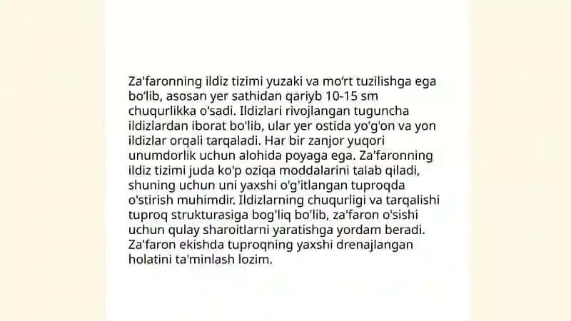 Za'faron o'simligi 4