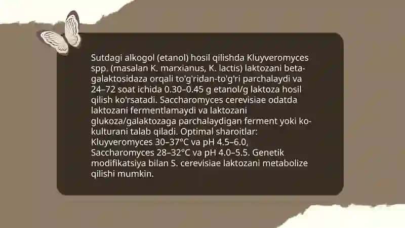 Mikroorganizmlar yordamida sut kislotali spirtli bijg'ish jarayonlari 4