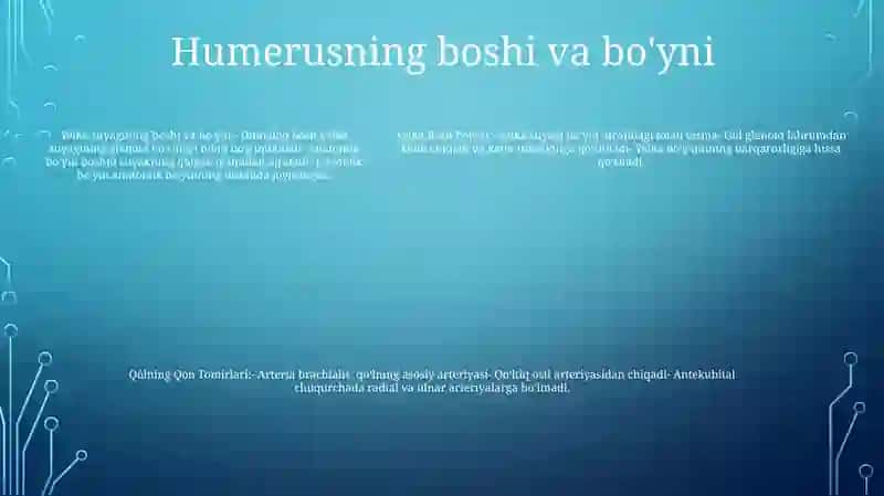 Yelka Bosh Poyasi.Ómrov Osti Arteriyasi. Qólning Qon Tomirlari 4