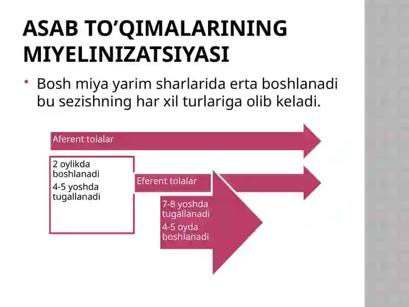 ASAB TIZIMINING ANATOMO-FIZIOLOGIK XUSUSIYATLARI 4