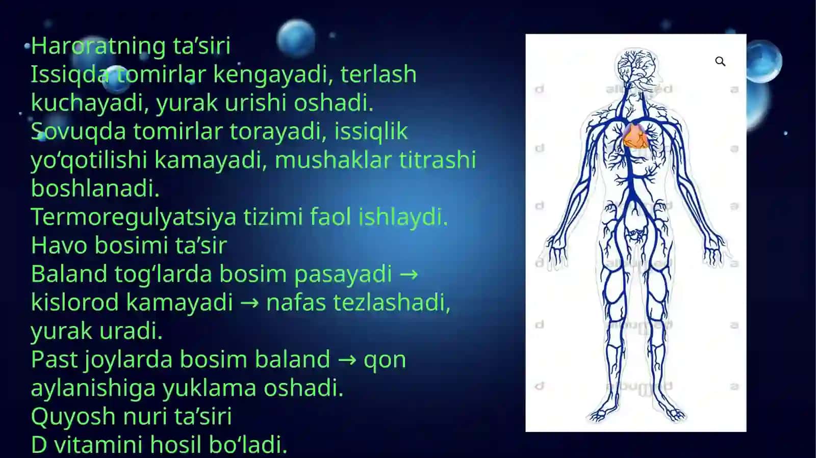 Tabiiy va sun'iy omillar ta'sirida inson organizmida sodir bo'ladigan fiziologik o'zgarishlar 4