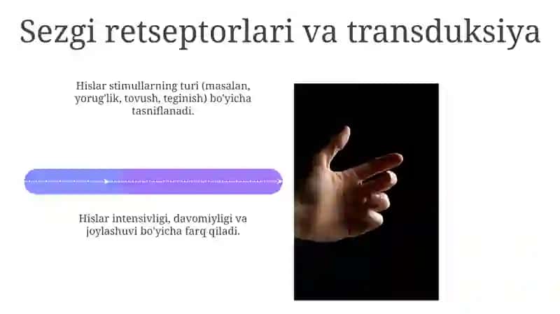 Sezgilar klassifikasyasi va sezgilarning òzgaruvchang shakillari 4