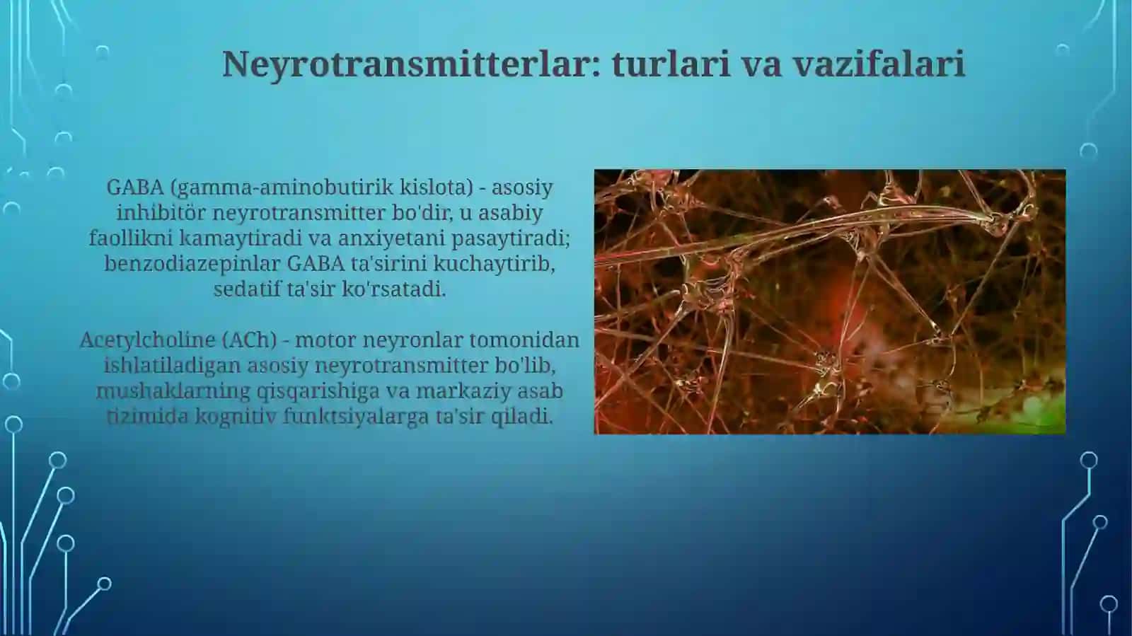 Nerv tolalari va sinapslar fiziologiyasi 4