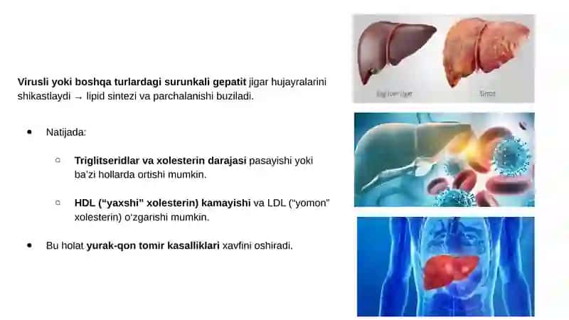 Surunkali gepatitlar. Xolesistitlarda yog'lar hazmlanishini buzilishi(steatoreya). Yog' kislotalarini alfa va Omega-oksidlanishi, ahamiyati, buzilishlari. Geteropolisaxaridlarni ontogenez va kasalliklarda o'zgarishi. 4