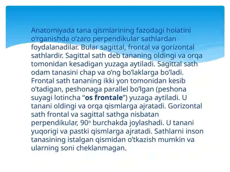 ANATOMIK IBORALARNING TARJIMASI 4