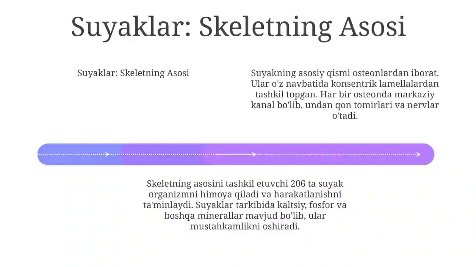 Gavda skeletini tashkil etuvchi suyaklar 4