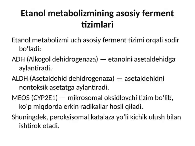 Etanolning jigarda zararsizlantirilishi 4