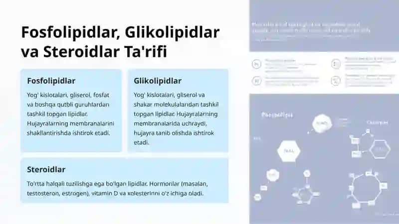 Odam To'qimasi Lipidlarining Tuzilishi va Tasnifi 4