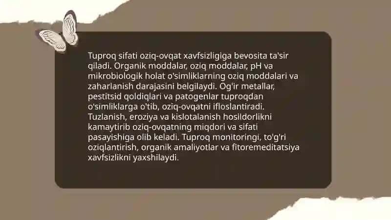 Tuproqning inson hayotidagi roll. Tuproq sifati va oziq ovqat xavfsizligi. 4