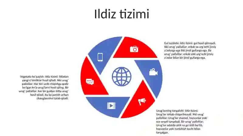 Ikki UrugʻPallalilar Va Bir UrugʻPallalilar Vakillari Orasidagi Farqli Belgilar 4