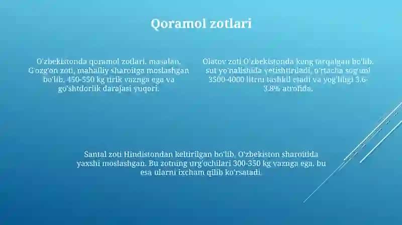 O'zbekistonda tumanlashtirilgan qoramol, qo'y, echki, cho'chqa, ot va parranda zotlarini tavsifi 4